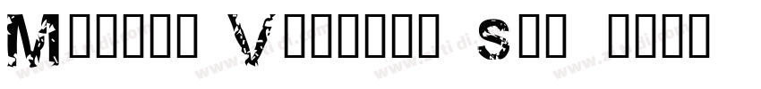 Marvin Visions Small字体转换